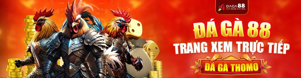 Sân đấu đá gà trực tuyến sôi động tại like88 trang chủ chính thức